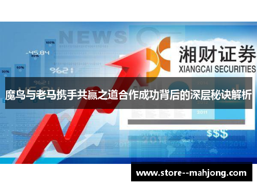 魔鸟与老马携手共赢之道合作成功背后的深层秘诀解析