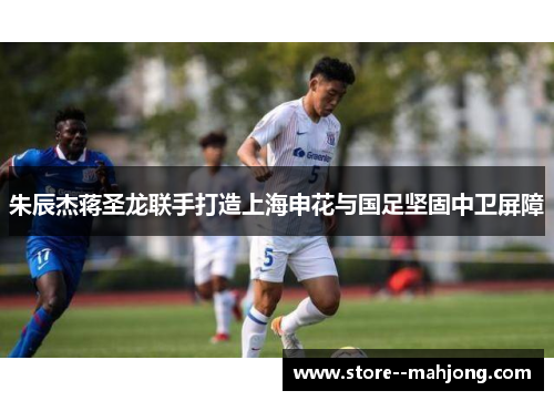 朱辰杰蒋圣龙联手打造上海申花与国足坚固中卫屏障