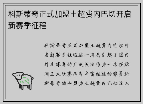 科斯蒂奇正式加盟土超费内巴切开启新赛季征程